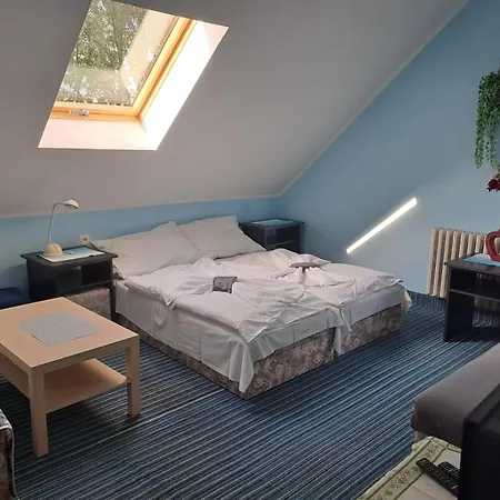 Hotel Kamenny Vrch Chomutov