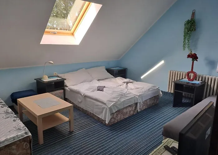 Hotel Kamenny Vrch Chomutov